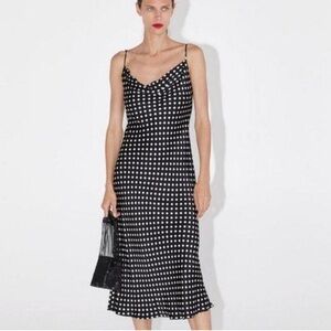 Zara Polka Dot Dress